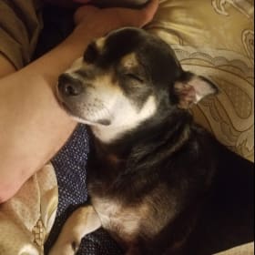 Quincy RIP