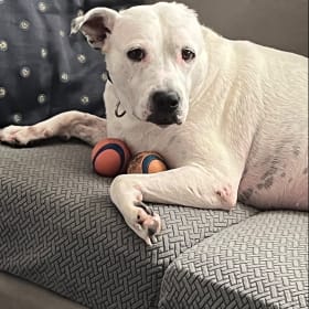 Maggie Mae