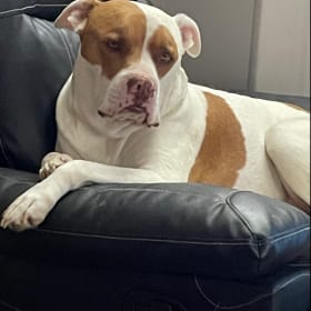Kilo