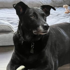 Macy