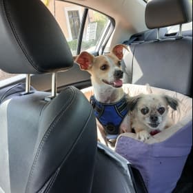 Louis Leia Both Rescues