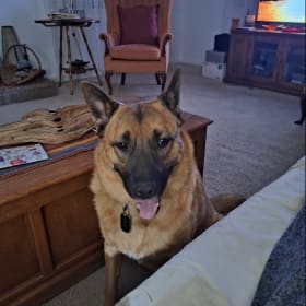 Jaxx