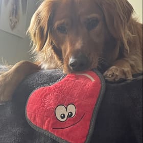 Kona Boi