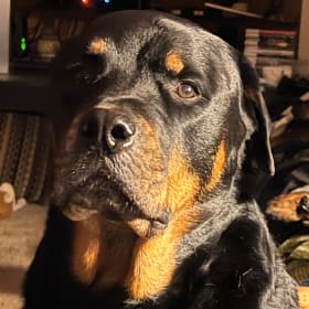 Ragnar