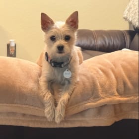 Lilo