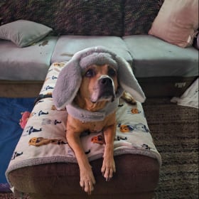 Dufus