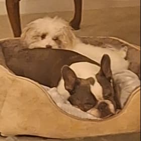 JASMYN AND ZOEY