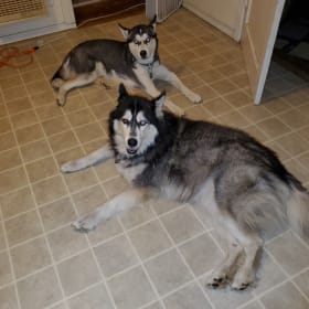 Eddie and Pompeii