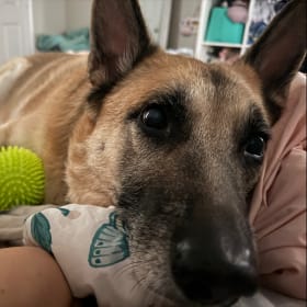 Caesar
