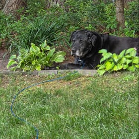 Jethro