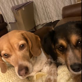 Charlie Brown and Frankie Blue