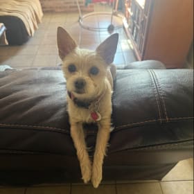 Lilo