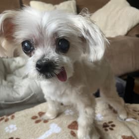 Sophie