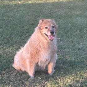 Annie