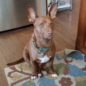 Duncan