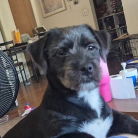 Roscoe