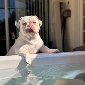 Gus