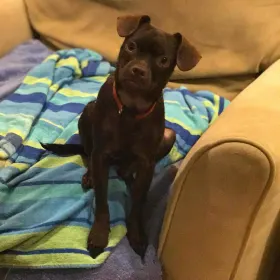 Valentino Cox deceased