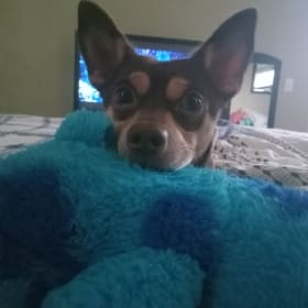 Tyson