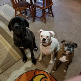 Margy Girdy and Stella