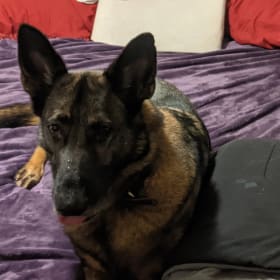 Loki