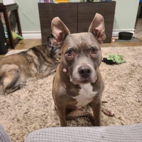 Zulu