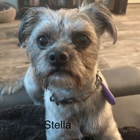 Stella