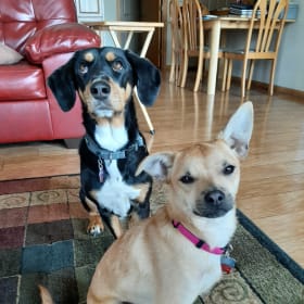 Matilda and Libbi