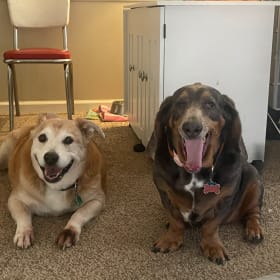Sammy and Stella
