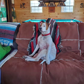 Sadie Sue