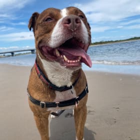 Tyson