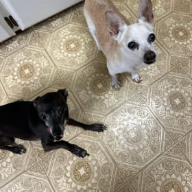 Bobo and Scott