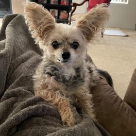 Bella