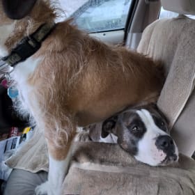 Rascal and Dickens