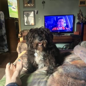 Chrissy-Star-Dexter