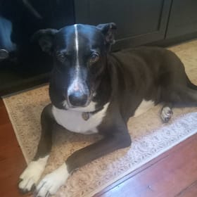 Rosie