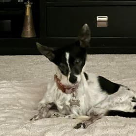 Bella