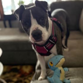 Lucy Lou