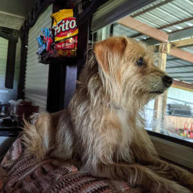 Izzy
