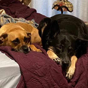 Dakota and Lexi