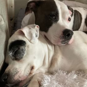 Piper and Luna