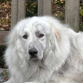Ares