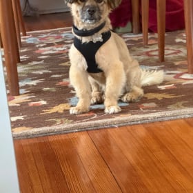 Ralphie