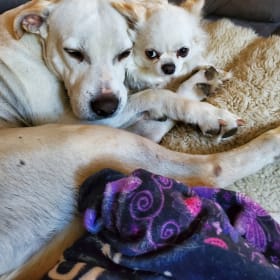 Louie and Lil Rya
