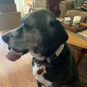 Maggie