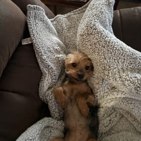 Ellie May