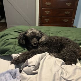 Tucker