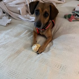 Rosie