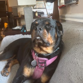 Sammi