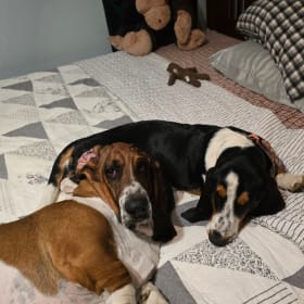 Winston and Nova